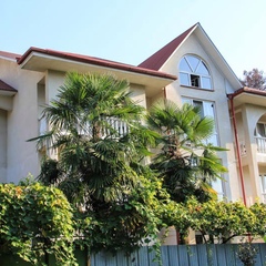 Гостевой дом Терраса, Сочи, Краснодарский край