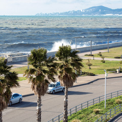 Гостевой дом Терраса, Сочи, Краснодарский край