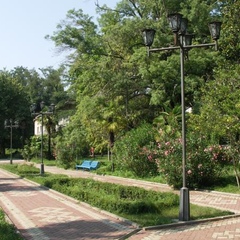 Гостевой дом Терраса, Сочи, Краснодарский край