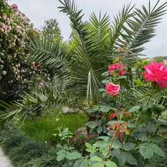 Гостевой дом Терраса, Сочи, Краснодарский край