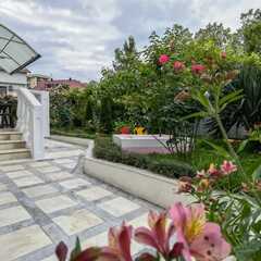 Гостевой дом Терраса, Сочи, Краснодарский край