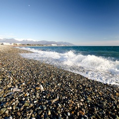 Гостевой дом Терраса, Сочи, Краснодарский край