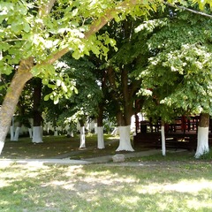 Гостиница На море у реки, Геленджик, Краснодарский край