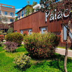 Апартаменты Green Palace, Сочи, Краснодарский край