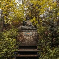 Загородный комплекс Сад Пионов, Чемальский район, Республика Алтай