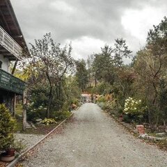 Загородный комплекс Сад Пионов, Чемальский район, Республика Алтай