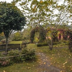 Загородный комплекс Сад Пионов, Чемальский район, Республика Алтай