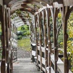 Загородный комплекс Сад Пионов, Чемальский район, Республика Алтай