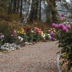 Загородный комплекс Сад Пионов, Чемальский район, Республика Алтай