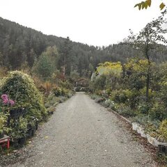 Загородный комплекс Сад Пионов, Чемальский район, Республика Алтай