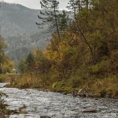 Загородный комплекс Сад Пионов, Чемальский район, Республика Алтай