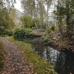 Загородный комплекс Сад Пионов, Чемальский район, Республика Алтай