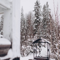 Коттедж Панорама. Дом с панорамными окнами и видом на лес, Республика Карелия