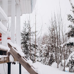 Коттедж Панорама. Дом с панорамными окнами и видом на лес, Республика Карелия