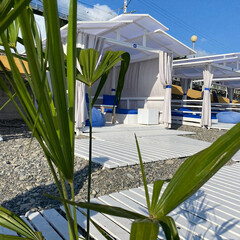 Санаторий Ревиталь Парк, Сочи, Сочи, Краснодарский край