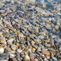 Отель Bruni Loft Hotel, Гагрский район