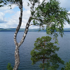 Гостевой дом Тургоякская изба, Миасс, Челябинская область