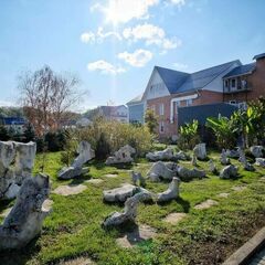 База отдыха Аква-Вита, Мостовский район, Краснодарский край