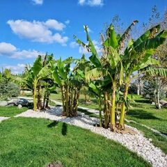 База отдыха Аква-Вита, Мостовский район, Краснодарский край