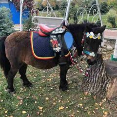 База отдыха Аква-Вита, Мостовский район, Краснодарский край