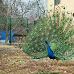 База отдыха Аква-Вита, Мостовский район, Краснодарский край