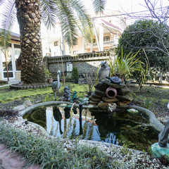 Отель Фонтан, Сочи, Краснодарский край