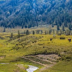 База отдыха Инегень, Онгудайский район, Республика Алтай