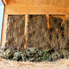 База отдыха Инегень, Онгудайский район, Республика Алтай