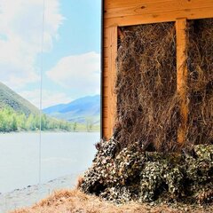 База отдыха Инегень, Онгудайский район, Республика Алтай