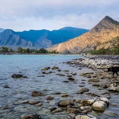 База отдыха Инегень, Онгудайский район, Республика Алтай