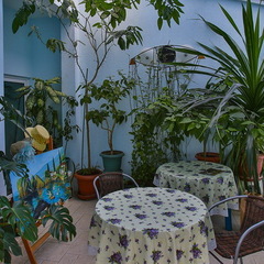 Гостевой дом Чайка, Алушта, Крым