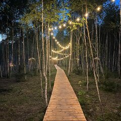 Глэмпинг Ильино, Тула, Тульская область