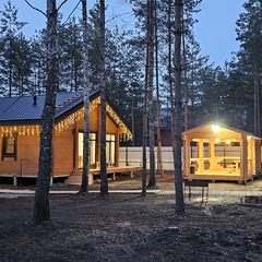 Дом Ёлки-Иголки, Спасский район, Рязанская область