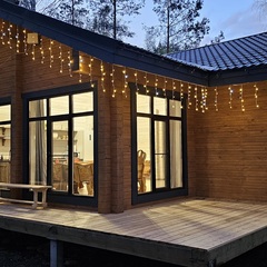 Дом Ёлки-Иголки, Спасский район, Рязанская область