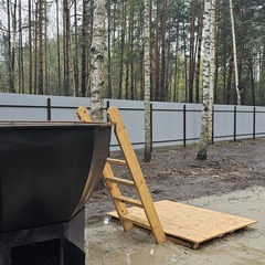 Дом Ёлки-Иголки, Спасский район, Рязанская область