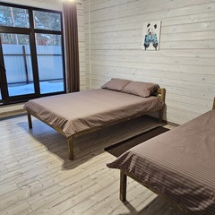 Дом Ёлки-Иголки, Спасский район, Рязанская область