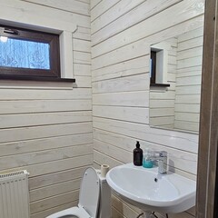 Дом Ёлки-Иголки, Спасский район, Рязанская область