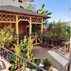 Отель Avenyu, Сочи, Краснодарский край