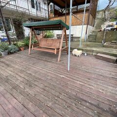 Гостевой дом Лазурный, Сочи, Краснодарский край