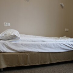 Гостевой дом Сова в Шереметьево, Солнечногорский район, Московская область