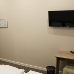 Гостевой дом Сова в Шереметьево, Солнечногорский район, Московская область