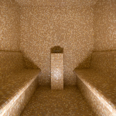 Отель Continental Hotel, Москва, Московская область