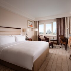 Отель Continental Hotel, Москва, Московская область