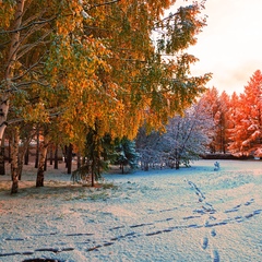 Санаторий Коммунальник, Красноярка, Омская область