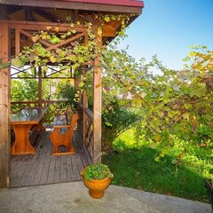 Гостевой дом Panorama, Сочи, Краснодарский край