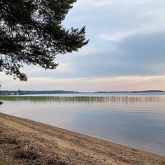 База отдыха Кангас, Пряжинский район, Республика Карелия