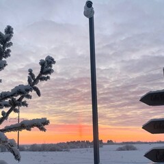 Коттеджный комплекс Лыжный парк , Ломоносовский район, Ленинградская область