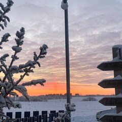 Коттеджный комплекс Лыжный парк , Ломоносовский район, Ленинградская область