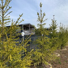 Коттеджный комплекс Лыжный парк , Ломоносовский район, Ленинградская область