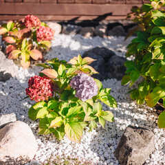 Глэмпинг Тихая Гавань, Светлогорский район, Калининградская область